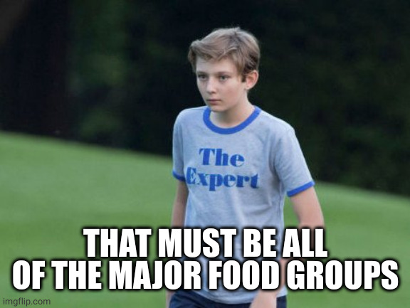 The Expert | THAT MUST BE ALL OF THE MAJOR FOOD GROUPS | image tagged in the expert | made w/ Imgflip meme maker