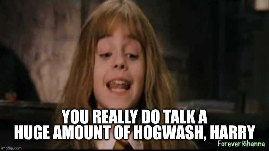 hermione | YOU REALLY DO TALK A HUGE AMOUNT OF HOGWASH, HARRY | image tagged in hermione | made w/ Imgflip meme maker