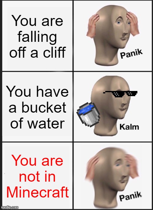 Why tho | You are falling off a cliff; You have a bucket of water; You are not in Minecraft | image tagged in memes,panik kalm panik | made w/ Imgflip meme maker
