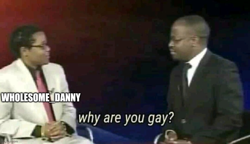 Why are you gay? | WHOLESOME_DANNY | image tagged in why are you gay | made w/ Imgflip meme maker