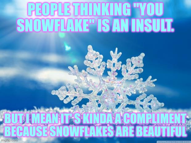 yesh | PEOPLE THINKING "YOU SNOWFLAKE" IS AN INSULT. BUT I MEAN IT' S KINDA A COMPLIMENT BECAUSE SNOWFLAKES ARE BEAUTIFUL | image tagged in snowflake | made w/ Imgflip meme maker