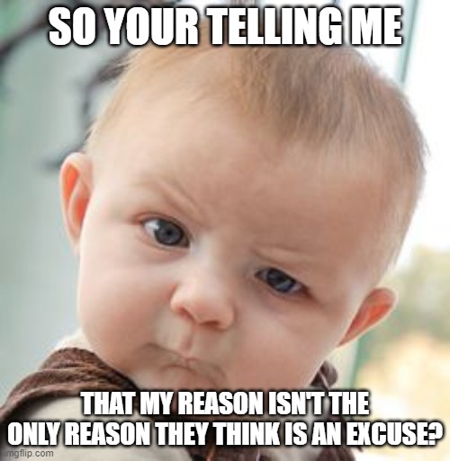 skeptical baby memes part 1... | SO YOUR TELLING ME; THAT MY REASON ISN'T THE ONLY REASON THEY THINK IS AN EXCUSE? | image tagged in memes,skeptical baby | made w/ Imgflip meme maker
