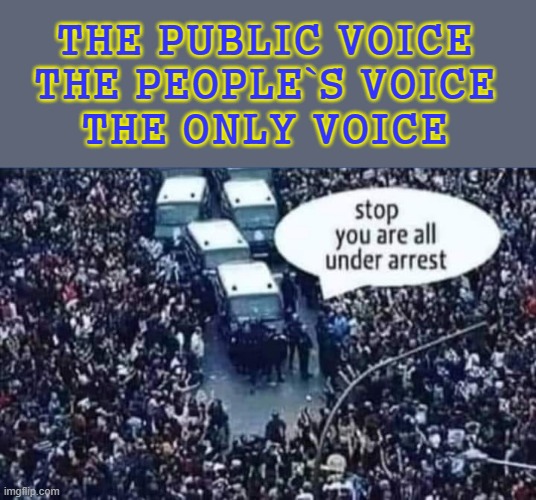 The Only Voice ! | THE PUBLIC VOICE
THE PEOPLE`S VOICE
THE ONLY VOICE | image tagged in we the people | made w/ Imgflip meme maker