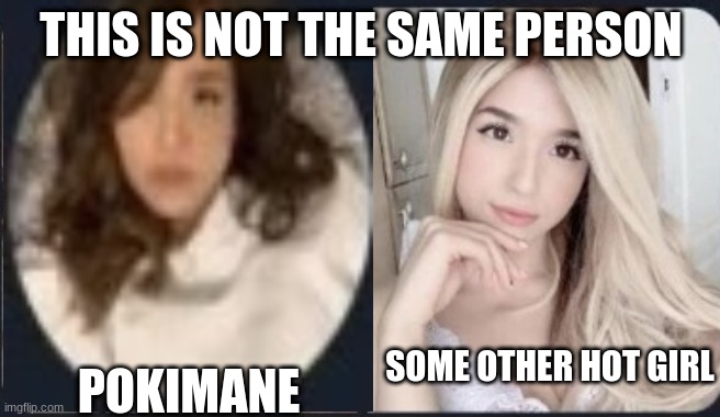 Pokimane aka pokemon | THIS IS NOT THE SAME PERSON; POKIMANE; SOME OTHER HOT GIRL | made w/ Imgflip meme maker