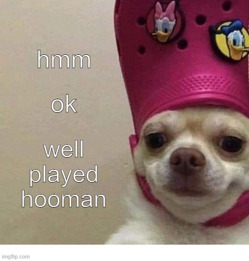 hmm ok well played hooman | image tagged in lancer face | made w/ Imgflip meme maker
