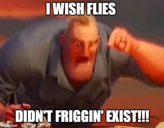 Mr incredible mad | I WISH FLIES DIDN'T FRIGGIN' EXIST!!! | image tagged in mr incredible mad | made w/ Imgflip meme maker