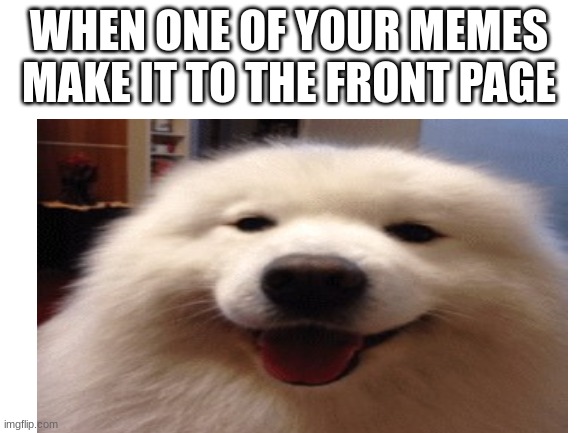 i love doggo's | WHEN ONE OF YOUR MEMES MAKE IT TO THE FRONT PAGE | image tagged in blank meme template,funny,memes,doggo | made w/ Imgflip meme maker