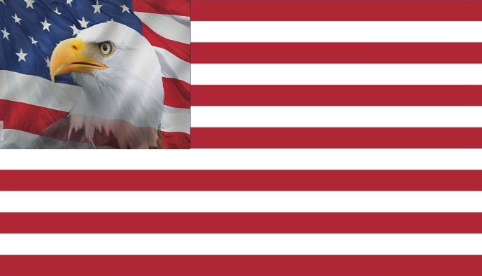 High Quality Patriot eagle flag Blank Meme Template
