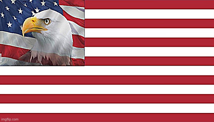 This flag is dope tho | image tagged in patriot eagle flag | made w/ Imgflip meme maker