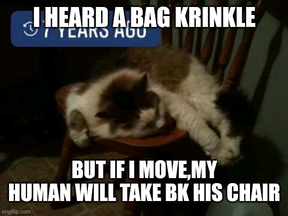Matt miller | I HEARD A BAG KRINKLE; BUT IF I MOVE,MY HUMAN WILL TAKE BK HIS CHAIR | image tagged in matt miller | made w/ Imgflip meme maker