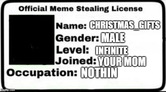 My official meme stealing license! | CHRISTMAS_GIFTS; MALE; INFINITE; YOUR MOM; NOTHIN | image tagged in meme stealing license | made w/ Imgflip meme maker