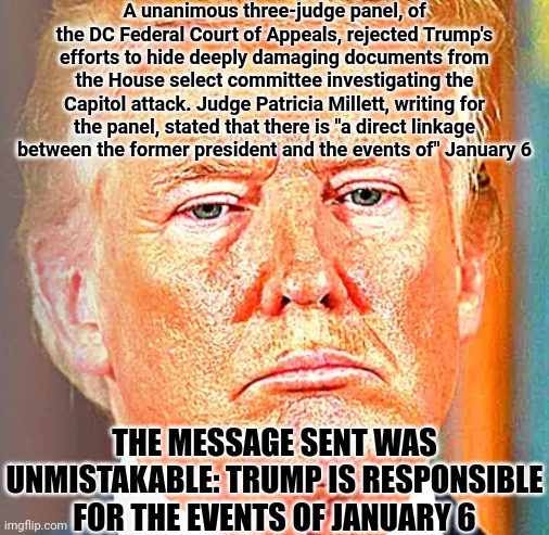 Trump Loses Bigly | A unanimous three-judge panel, of the DC Federal Court of Appeals, rejected Trump's efforts to hide deeply damaging documents from the House select committee investigating the Capitol attack. Judge Patricia Millett, writing for the panel, stated that there is "a direct linkage between the former president and the events of" January 6; THE MESSAGE SENT WAS UNMISTAKABLE: TRUMP IS RESPONSIBLE FOR THE EVENTS OF JANUARY 6 | image tagged in memes,loser,trump is the biggest loser,lock him up,scumbag republicans,guilty | made w/ Imgflip meme maker