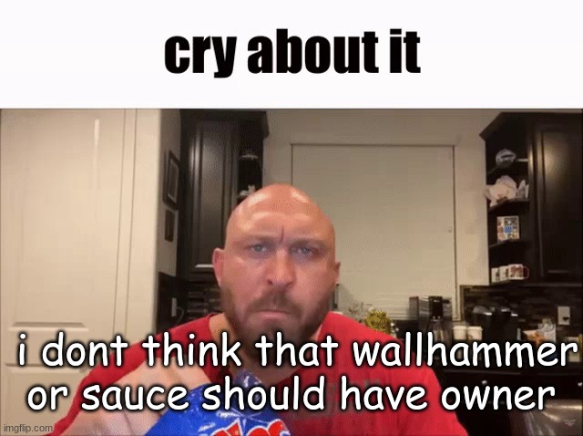 dont start pissing over it lmao (i cant comment on shit) | i dont think that wallhammer or sauce should have owner | image tagged in cry about it | made w/ Imgflip meme maker