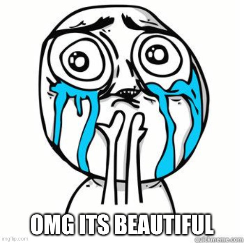 Crying Face | OMG ITS BEAUTIFUL | image tagged in crying face | made w/ Imgflip meme maker