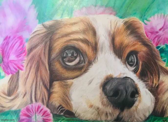 20h dog drawing with colored pencils | image tagged in drawing,animals,dog | made w/ Imgflip meme maker