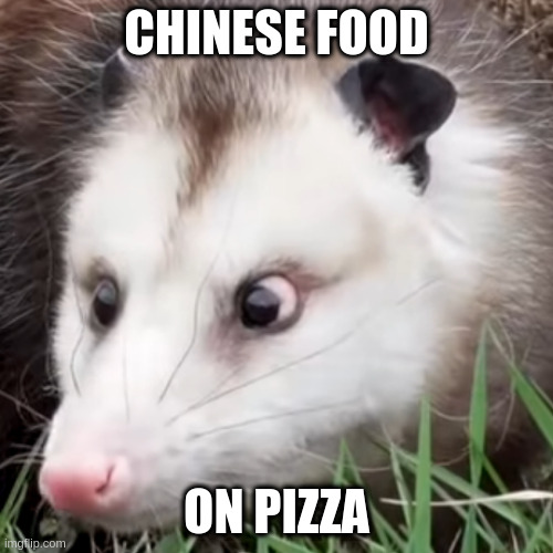 My favorite! | CHINESE FOOD; ON PIZZA | image tagged in food crime possum | made w/ Imgflip meme maker