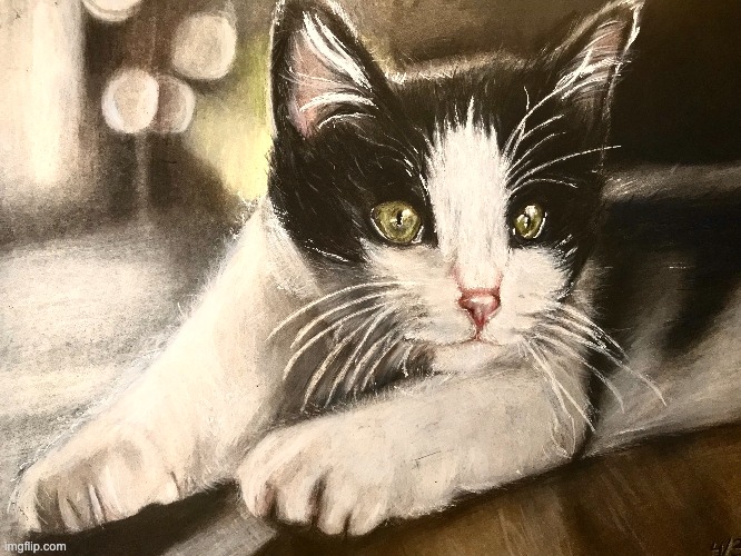 20h cat drawing with colored pencils | image tagged in drawing,animals,cat | made w/ Imgflip meme maker