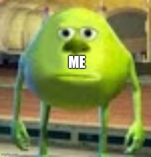 Sully Wazowski | ME | image tagged in sully wazowski | made w/ Imgflip meme maker