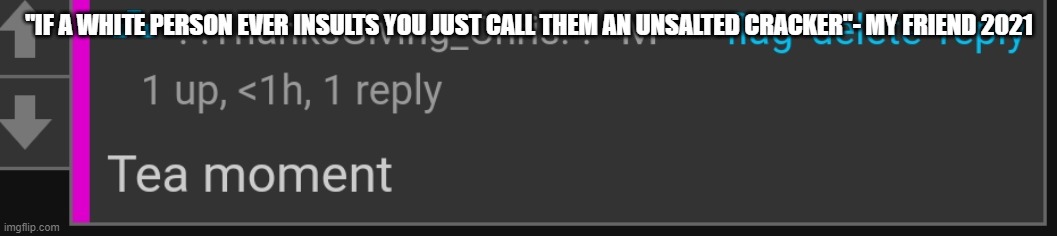 He says that insult makes sense for white people cause they're- basic? or something idk xd- | "IF A WHITE PERSON EVER INSULTS YOU JUST CALL THEM AN UNSALTED CRACKER"- MY FRIEND 2021 | image tagged in tea moment | made w/ Imgflip meme maker