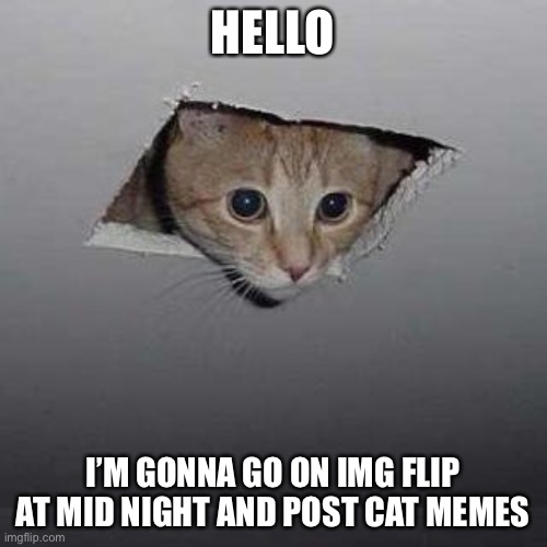 Ceiling Cat | HELLO; I’M GONNA GO ON IMG FLIP AT MID NIGHT AND POST CAT MEMES | image tagged in memes,ceiling cat | made w/ Imgflip meme maker