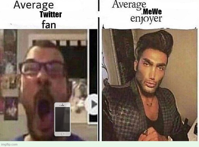 Average *BLANK* Fan VS Average *BLANK* Enjoyer | MeWe; Twitter | image tagged in memes,average blank fan vs average blank enjoyer,iphone | made w/ Imgflip meme maker