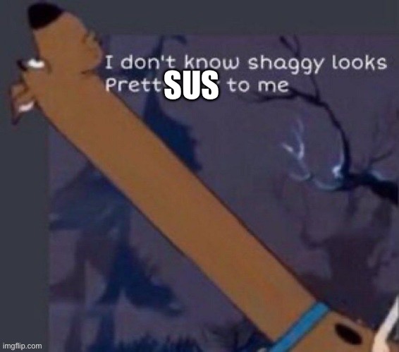 looks pretty sus to me | SUS | image tagged in looks pretty sus to me | made w/ Imgflip meme maker
