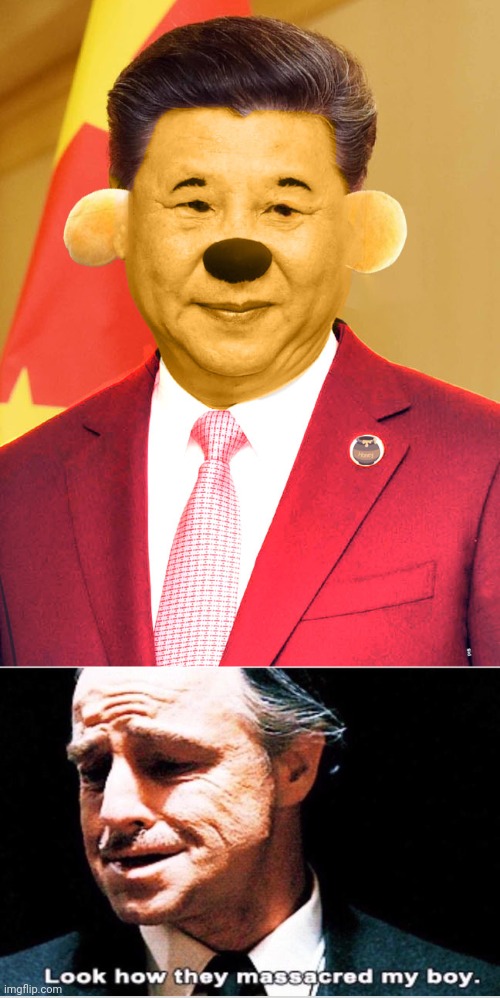 How dare those sinophobia piece of shit ruin these two | image tagged in xi jinping winnie the poo,look how they massacred my boy,china,chinese | made w/ Imgflip meme maker
