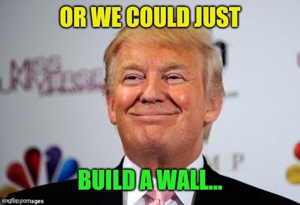 Donald trump approves | OR WE COULD JUST BUILD A WALL... | image tagged in donald trump approves | made w/ Imgflip meme maker