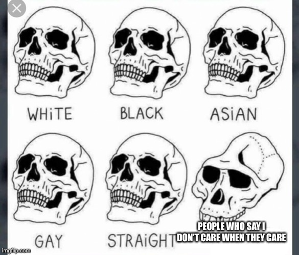 Am I Wrong Tho | PEOPLE WHO SAY I DON’T CARE WHEN THEY CARE | image tagged in white black asian gay straight skull template | made w/ Imgflip meme maker