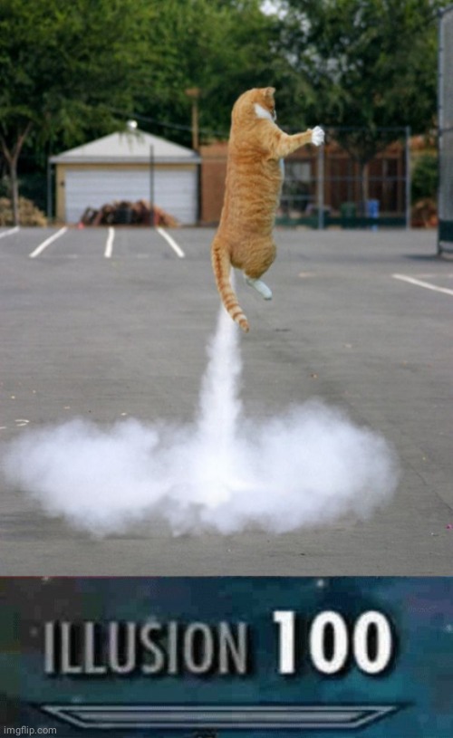 Cat rocket | image tagged in illusion 100,cats,cat,optical illusion,rocket,memes | made w/ Imgflip meme maker