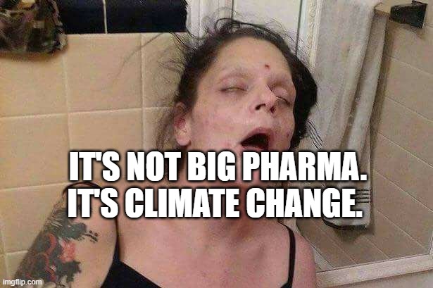 Junkie | IT'S NOT BIG PHARMA. IT'S CLIMATE CHANGE. | image tagged in junkie | made w/ Imgflip meme maker