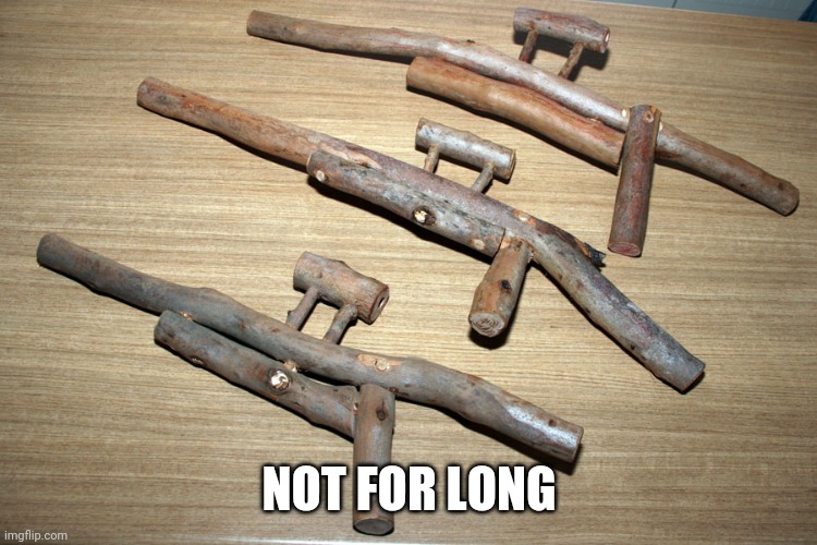 guns | NOT FOR LONG | image tagged in guns | made w/ Imgflip meme maker