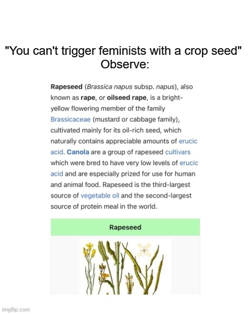 dank meme | "You can't trigger feminists with a crop seed" 
Observe: | image tagged in dank memes | made w/ Imgflip meme maker