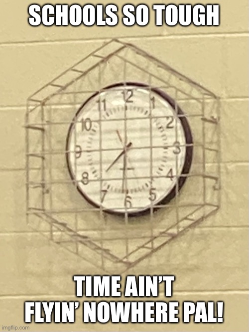 Time doesn’t fly | SCHOOLS SO TOUGH; TIME AIN’T FLYIN’ NOWHERE PAL! | image tagged in tough,school | made w/ Imgflip meme maker