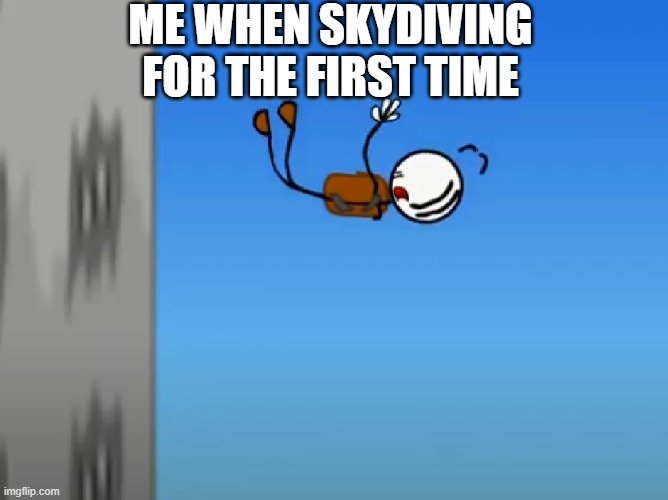 Henry Stickmin skydiving | ME WHEN SKYDIVING FOR THE FIRST TIME | image tagged in henry stickmin skydiving | made w/ Imgflip meme maker