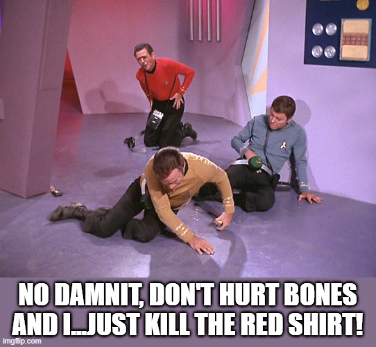 Wrong Victims |  NO DAMNIT, DON'T HURT BONES AND I...JUST KILL THE RED SHIRT! | image tagged in star trek kirk bones and redshirt down 4 | made w/ Imgflip meme maker