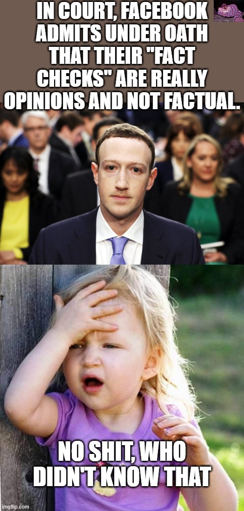 When you allow Big Tech be the arbiter of truth. | IN COURT, FACEBOOK ADMITS UNDER OATH THAT THEIR "FACT CHECKS" ARE REALLY OPINIONS AND NOT FACTUAL. NO SHIT, WHO DIDN'T KNOW THAT | image tagged in mark zuckerberg,duh | made w/ Imgflip meme maker