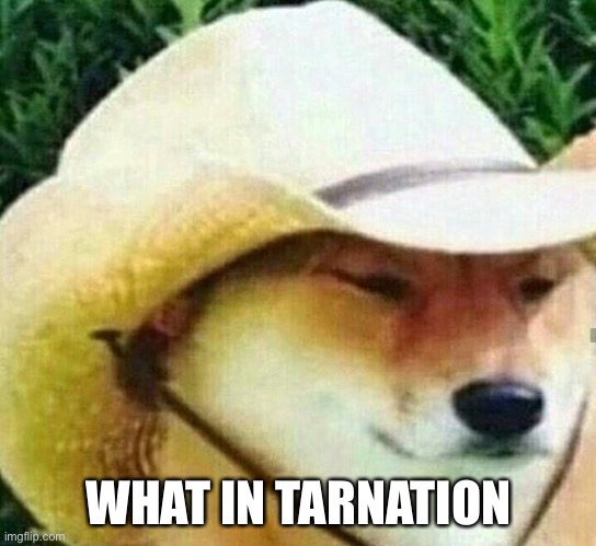 What in tarnation | WHAT IN TARNATION | image tagged in what in tarnation | made w/ Imgflip meme maker