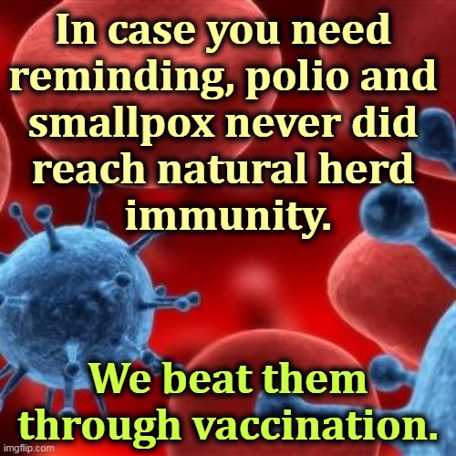 Accept no substitutes. | In case you need 
reminding, polio and 
smallpox never did 
reach natural herd 
immunity. We beat them through vaccination. | image tagged in virus,vaccination,best,anti vax,stupid | made w/ Imgflip meme maker