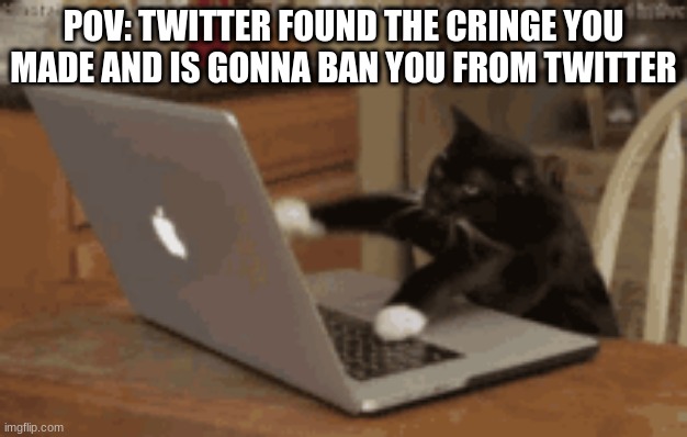 Getting banned from twitter be like: | POV: TWITTER FOUND THE CRINGE YOU MADE AND IS GONNA BAN YOU FROM TWITTER | image tagged in twitter | made w/ Imgflip meme maker