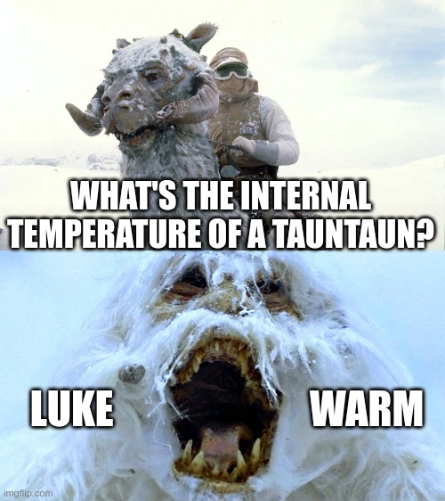 Star Wars humor from Dictor Van Doomcock | WHAT'S THE INTERNAL TEMPERATURE OF A TAUNTAUN? LUKE                         WARM | image tagged in star wars | made w/ Imgflip meme maker