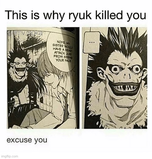 Seriously | image tagged in oof,death note,oh wow are you actually reading these tags,death | made w/ Imgflip meme maker