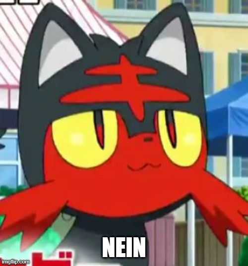 nein | NEIN | image tagged in litten,nein | made w/ Imgflip meme maker