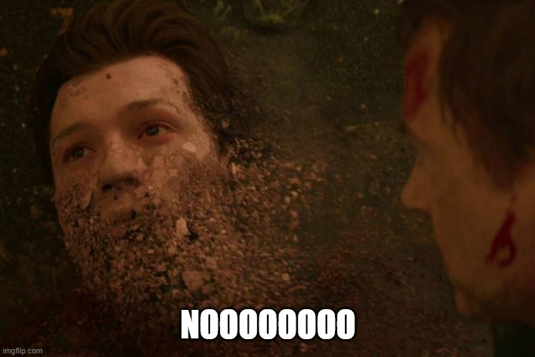 Spiderman getting Thanos snapped | NOOOOOOOO | image tagged in spiderman getting thanos snapped | made w/ Imgflip meme maker