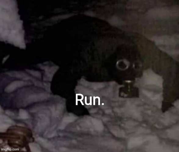 Run. | image tagged in run | made w/ Imgflip meme maker