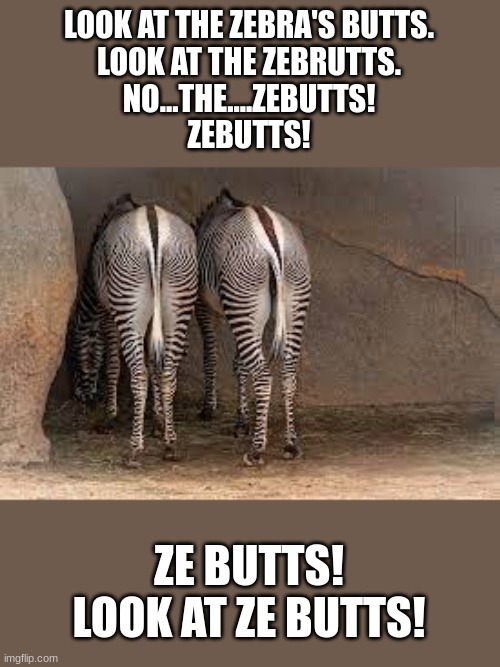 ZE BUTTS! | LOOK AT THE ZEBRA'S BUTTS.
LOOK AT THE ZEBRUTTS.
NO...THE....ZEBUTTS!
ZEBUTTS! ZE BUTTS! LOOK AT ZE BUTTS! | image tagged in zebra,butt,funny memes,lol | made w/ Imgflip meme maker