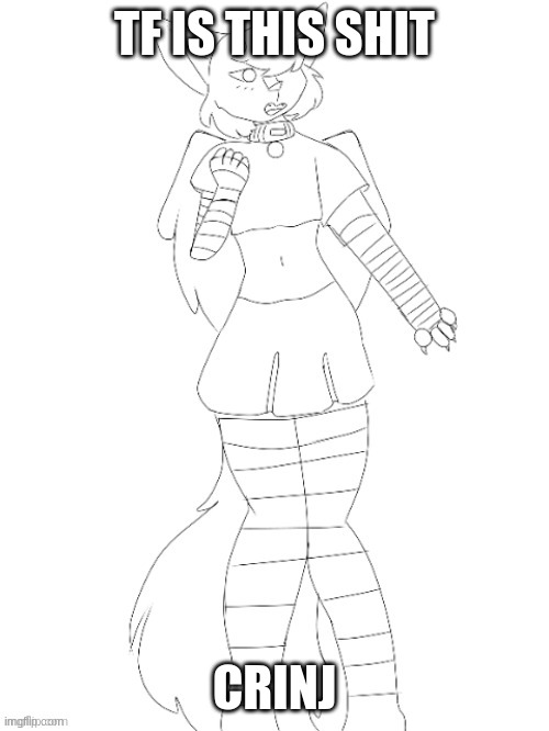 Femboy RetroTheFloof | TF IS THIS SHIT; CRINJ | image tagged in femboy retrothefloof | made w/ Imgflip meme maker
