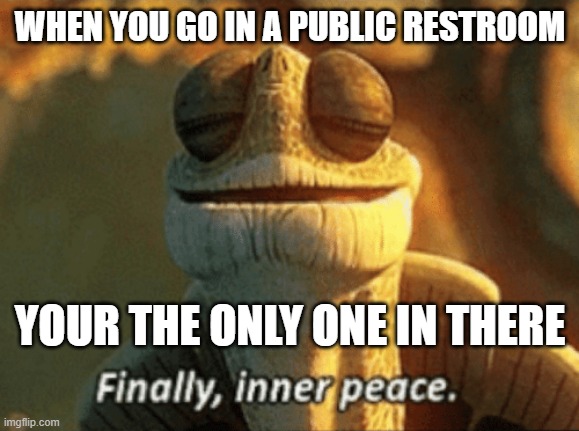 TRue | WHEN YOU GO IN A PUBLIC RESTROOM; YOUR THE ONLY ONE IN THERE | image tagged in finally inner peace | made w/ Imgflip meme maker