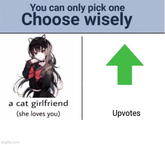Choose wisely | Upvotes | image tagged in choose wisely | made w/ Imgflip meme maker