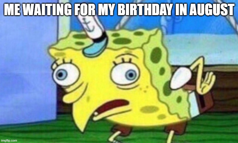 spongebob stupid | ME WAITING FOR MY BIRTHDAY IN AUGUST | image tagged in spongebob stupid | made w/ Imgflip meme maker
